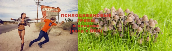 а пвп мука Зерноград